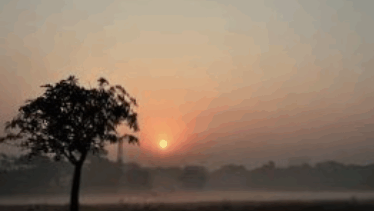 কুড়িগ্রামে তাপমাত্রা নেমে ১২ ডিগ্রি, শীতে স্থবির জনজীবন