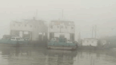 কুয়াশার কারণে দৌলতদিয়া-পাটুরিয়া রুটে ফেরি চলাচল বন্ধ