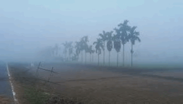 তেঁতুলিয়ায় শীতের তীব্রতা বাড়ছে, তাপমাত্রা নেমেছে ১১ ডিগ্রিতে