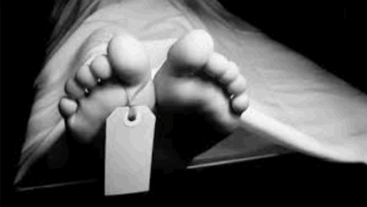 ডেমরায় সিটি করপোরেশনের গাড়ির ধাক্কায় দুই শিক্ষার্থী নিহত