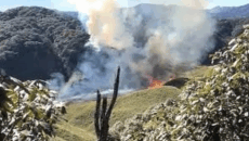 ক্যাম্পফায়ার থেকে ভয়াবহ আগুন, জ্বলছে জুকো উপত্যকা