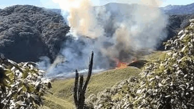 ক্যাম্পফায়ার থেকে ভয়াবহ আগুন, জ্বলছে জুকো উপত্যকা
