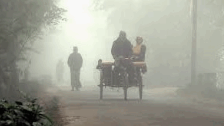 নওগাঁয় সর্বনিম্ন তাপমাত্রা রেকর্ড, শীত বাড়ছে উত্তরে