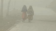 নীলফামারীতে হঠাৎ শীতের দাপট, দুর্ভোগে নিম্ন আয়ের মানুষ