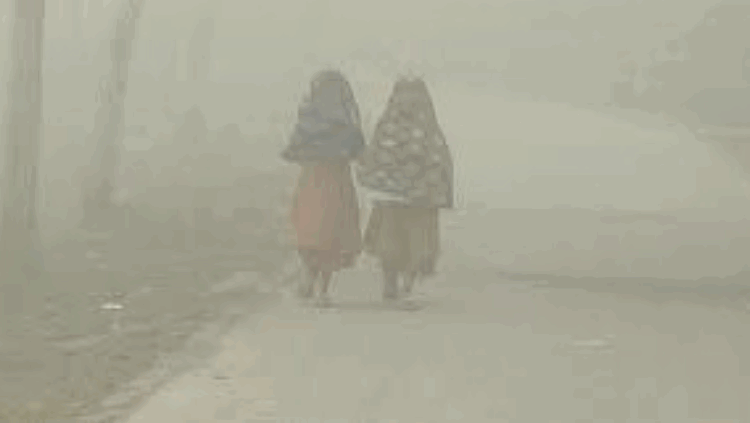 নীলফামারীতে হঠাৎ শীতের দাপট, দুর্ভোগে নিম্ন আয়ের মানুষ