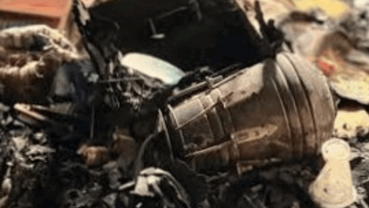 ছায়ানটে হামলা ও অগ্নিসংযোগ: ৩৫০ জনের বিরুদ্ধে মামলা