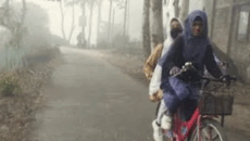 সূর্যহীন দিনে কনকনে শীত, চুয়াডাঙ্গায় বাড়ছে দুর্ভোগ