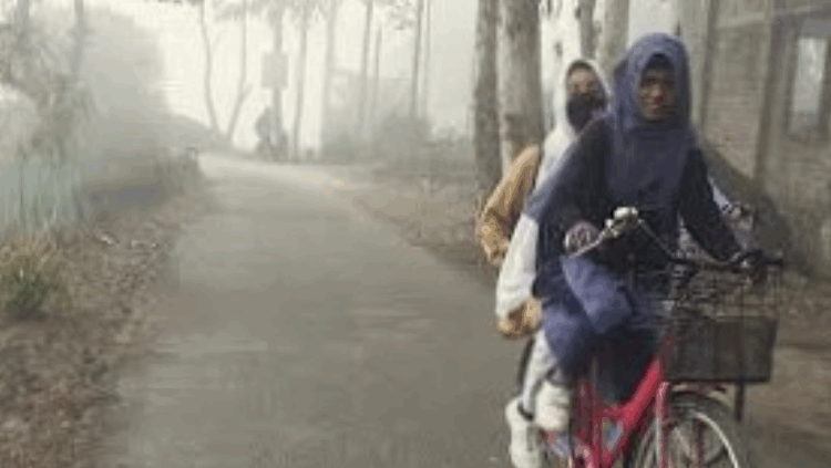 সূর্যহীন দিনে কনকনে শীত, চুয়াডাঙ্গায় বাড়ছে দুর্ভোগ