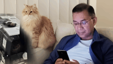 আলোচিত বিড়াল জেবুও ফিরেছে দেশে