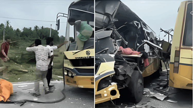 তামিলনাড়ুতে দুই বাসের সংঘর্ষে ১১ জনের মৃত্যু