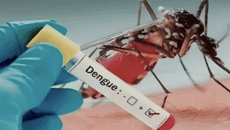 ডেঙ্গুতে একদিনে আরও ৫ মৃত্যু, নতুন রোগী ভর্তি ৪৯০