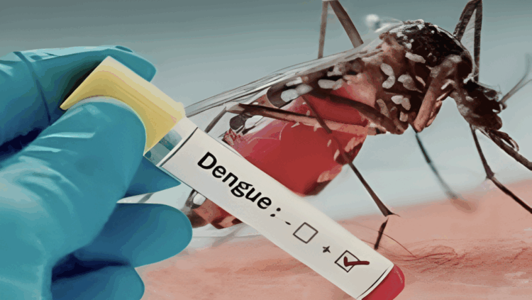 ডেঙ্গুতে একদিনে আরও ৫ মৃত্যু, নতুন রোগী ভর্তি ৪৯০