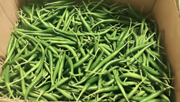 কুয়ালালামপুর বিমানবন্দরে বাংলাদেশি ১.৭৫ টন কাঁচামরিচ জব্দ