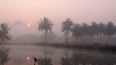 অগ্রহায়ণেই মাঘের শীত: কুড়িগ্রামের চরাঞ্চলে কাঁপছে লাখো মানুষ