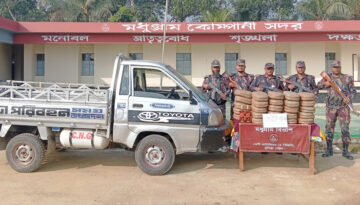 ফেনীতে বিজিবির অভিযানে বিপুল পরিমাণ গাঁজাসহ ভারতীয় মালামাল উদ্ধার