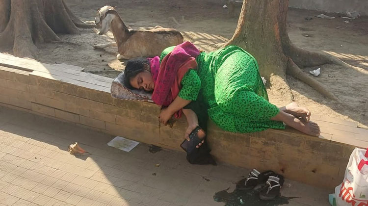 বরিশালে পার্কে বিষপানে নারীর আত্মহত্যার চেষ্টা