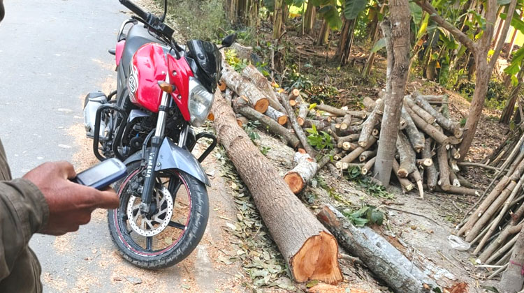 মুকসুদপুরে সরকারি গাছ কাটার অভিযোগে ৫ হাজার টাকা জরিমানা