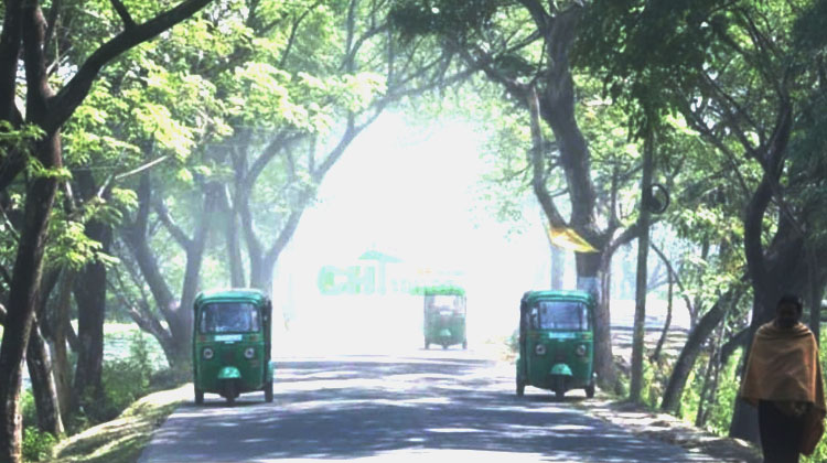 পাহাড়ে বইছে শৈতপ্রবাহ, দীর্ঘ সময় সূর্যের দেখা নেই