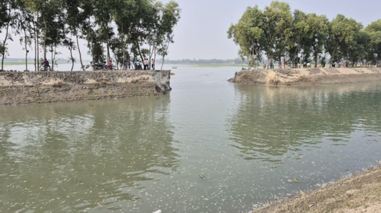 নীলফামারীতে তিস্তা সেচ ক্যানেলের বাঁধ ভেঙে ফসলি জমি পানির নিচে