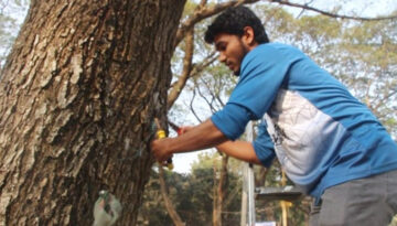 গাছ থেকে পেরেক-তারকাটা উত্তোলনে ইবিতে গ্রীন ভয়েসের ক্যাম্পেইন
