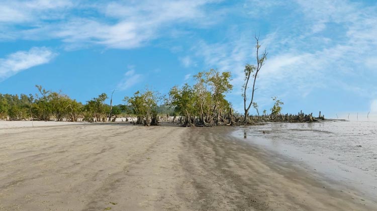 বঙ্গোপসাগরের কোলঘেঁষে সৌন্দর্যের স্বর্গ