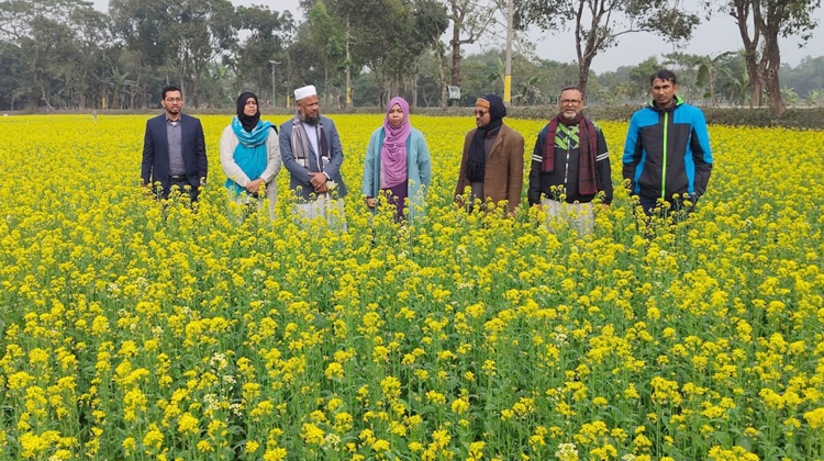 দিগন্ত জোড়ায় হলুদ রঙে মৌ মৌ গন্ধ!