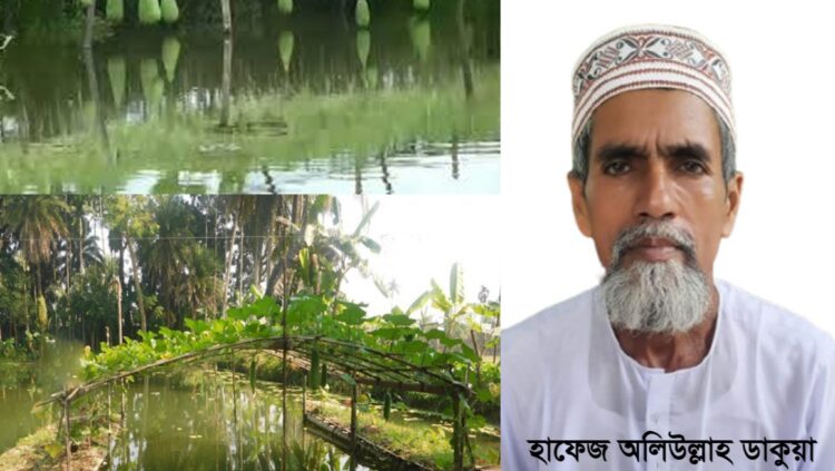 সমন্বিত চাষে পিরোজপুরে হাফেজ অলিউল্লাহ ডাকুয়ার কৃষি বিপ্লব