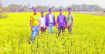 একফসলি জমিতে সরিষা চাষে কৃষকের নতুন সম্ভাবনা