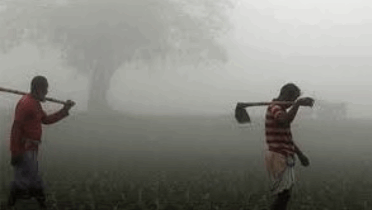 শীতের তীব্রতা বাড়ার শঙ্কা, তাপমাত্রা নামতে পারে ৪ ডিগ্রিতে