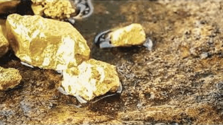 ভেনেজুয়েলার মাটির নিচে বিপুল স্বর্ণ ও হীরার ভাণ্ডার