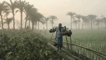 পঞ্চগড়ে মাঝারি শৈত্যপ্রবাহ, তেঁতুলিয়ায় তাপমাত্রা ৭ ডিগ্রি