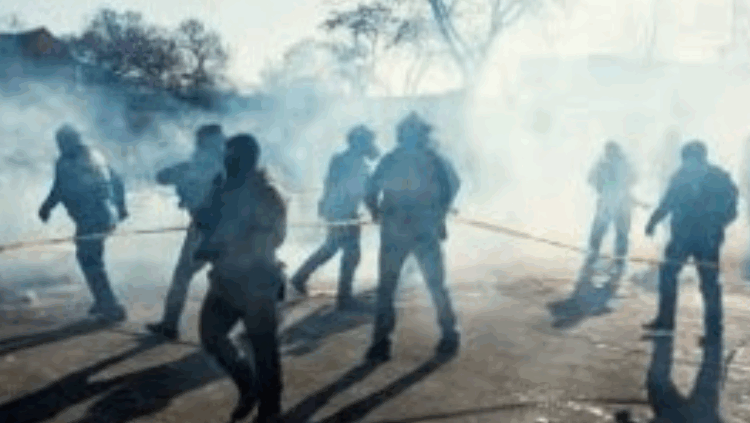 ফেডারেল এজেন্টদের গুলিতে নিহত মার্কিন নার্স