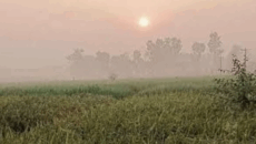 দেশ শীতে কাঁপলেও স্বস্তির ইঙ্গিত, তাপমাত্রা বাড়ার আভাস