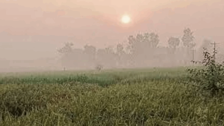 দেশ শীতে কাঁপলেও স্বস্তির ইঙ্গিত, তাপমাত্রা বাড়ার আভাস