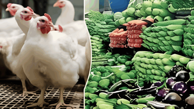 রাজধানীর বাজারে আবারও বাড়ল সবজি ও মুরগির দাম