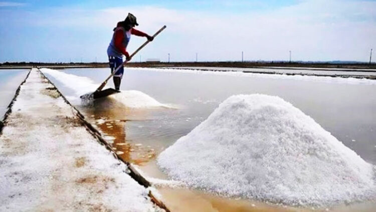 কক্সবাজার জেলা থেকে লবণ আমদানির সিদ্ধান্তে কৃষকদের কান্না