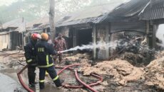 মুকসুদপুরে আগুনে ১৮ শত মণ পাট পুড়ে ছাই : স্বর্বশান্ত তিন ব্যবসায়ী