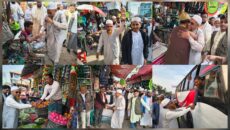 ভোলা-৪ আসনে হাতপাখার প্রচারণায় নারীদের অধিকার ও নৈতিক সমাজ গঠনের অঙ্গীকার