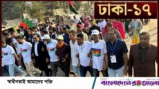 ঢাকা-১৭: ভাষানটেকে তারেক রহমানের পক্ষে বিশাল শোডাউন, জনতার উদ্দীপনা নজর কেড়েছে