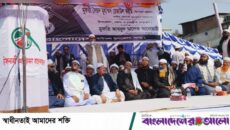 দাঁড়িপাল্লার এক পাল্লায় আমেরিকা, আরেক পাল্লায় ভারত—এমন ইনসাফ আমরা চাই না: পীর সাহেব চরমোনাই