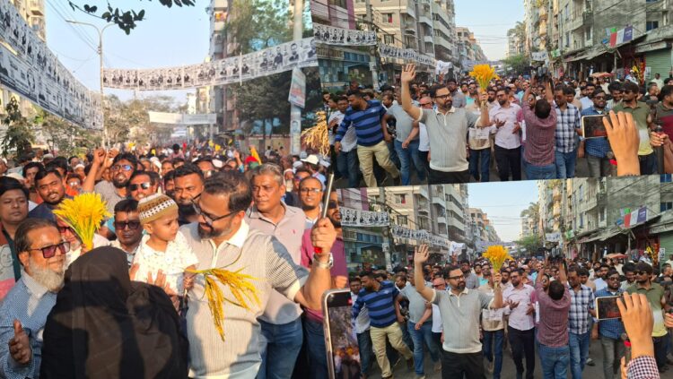 ভোট নষ্ট করবেন না, ধানের শীষকে জয়যুক্ত করুন : আমিনুল হক