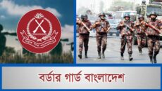 জানুয়ারিতে বিজিবির মহা অভিযান: ১৩২ কোটি টাকার চোরাচালান ও মাদক জব্দ, শতাধিক আটক