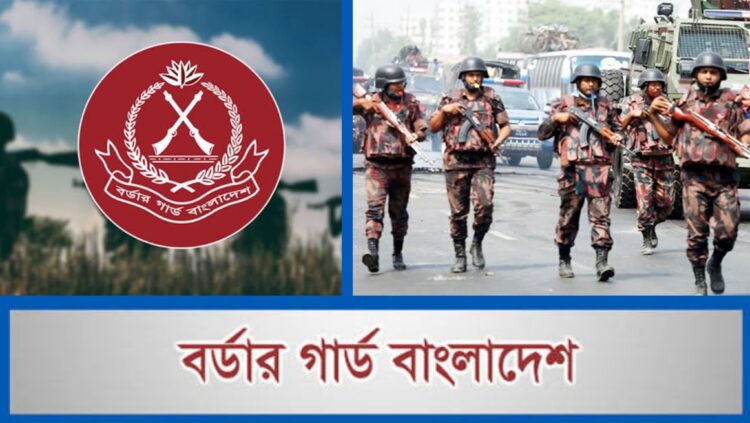 জানুয়ারিতে বিজিবির মহা অভিযান: ১৩২ কোটি টাকার চোরাচালান ও মাদক জব্দ, শতাধিক আটক