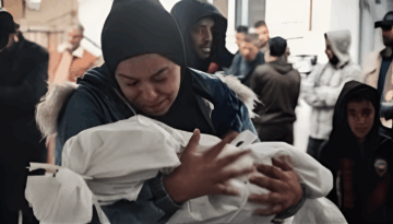 গাজায় হামলায় শিশুসহ ২৩ ফিলিস্তিনি নিহত