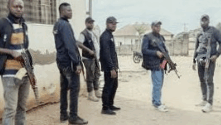 নাইজেরিয়ায় বন্দুকধারীদের তাণ্ডবে নিহত প্রায় ২০০