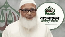 শফিকুর রহমান: অতীত ও বর্তমান