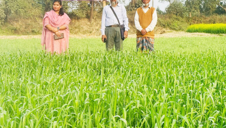 কসবায় সীড ভিলেজ প্রদর্শনী স্থাপন
