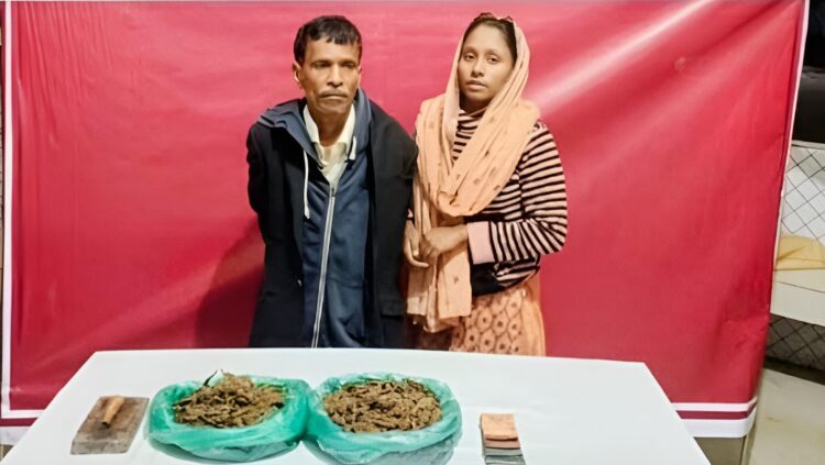 মেঘনায় মাদক ব্যবসায়ী বাবা-মেয়ে যৌথবাহিনীর হাতে গ্রেপ্তার